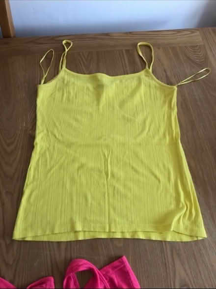 Photo of free Summer Vest tops x 3 (Cheshunt En8) #3
