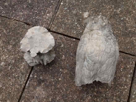 Photo of free Owl Statue (Broken in Half) (Beaconsfield HP9) #2