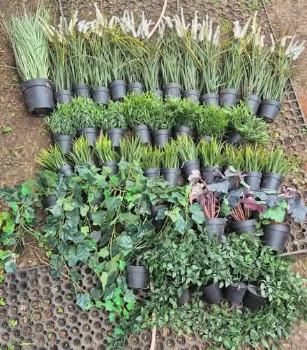 Photo of free Used Ikea Artificial Plants (Holmer Green HP15) #1