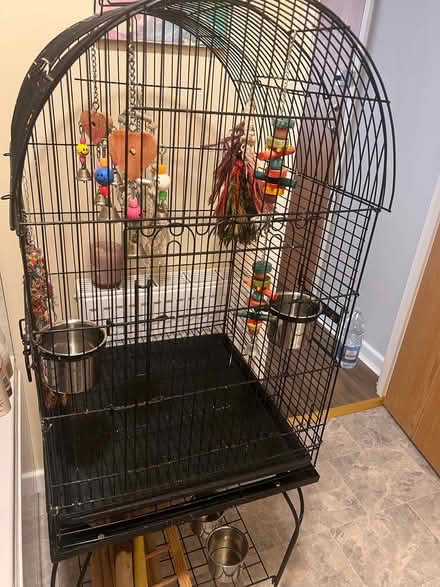 Photo of free Bird Cage (CT9) #1