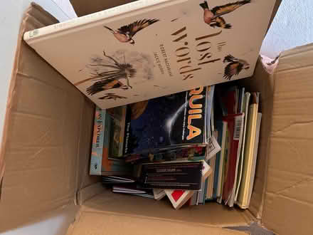 Photo of free Box of Kids Books (Greenback EH10) #2