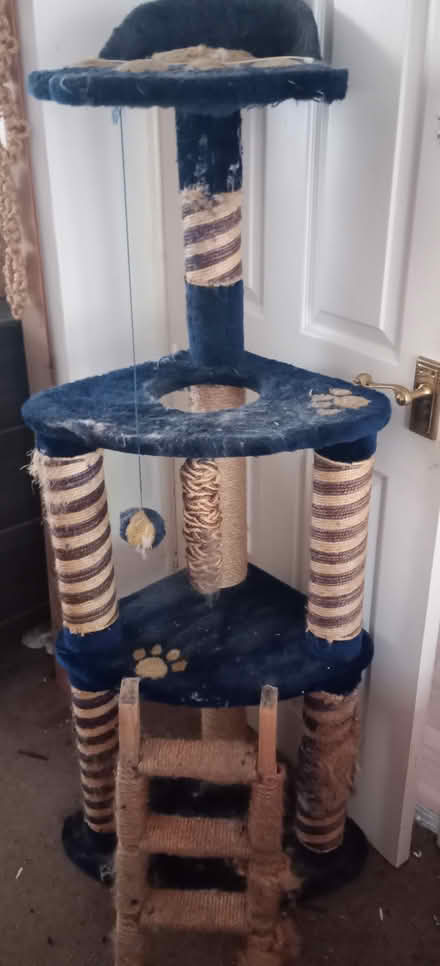 Photo of free Cat Tower & Scratching Post (Edgware HA8 9JN) #1