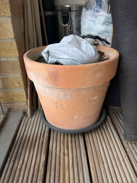 Photo of free Large terracotta pot (islington N1) #1