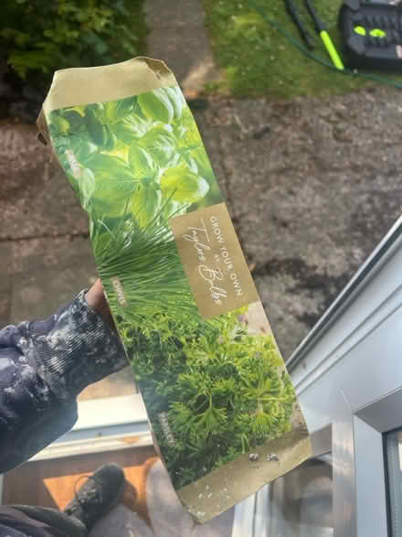 Photo of free Grow your own herbs kit (Stanway, CO3) #1