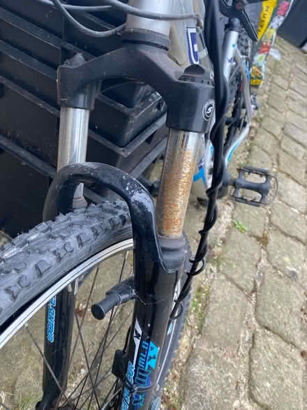 Photo of free Ladies bike (Youlgreave DE45) #2