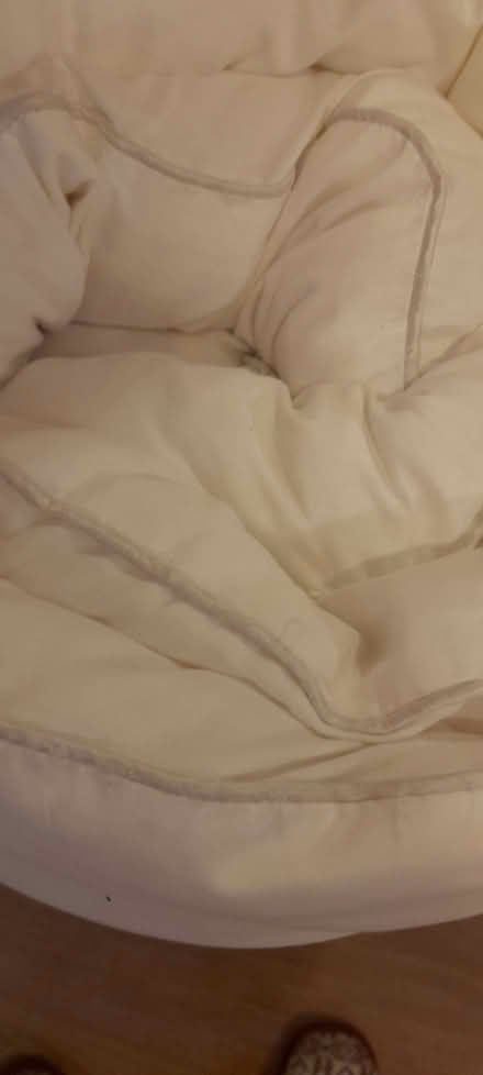 Photo of free Duvet (Welling DA16) #1