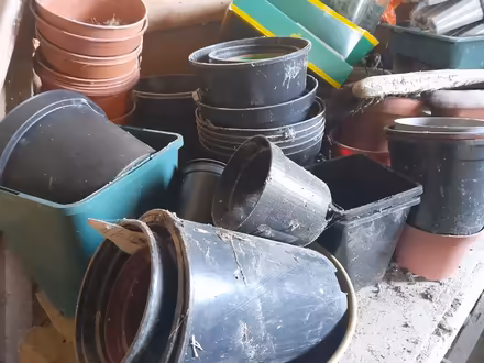 Photo of free Plant pots and seed trays (BT30) #3