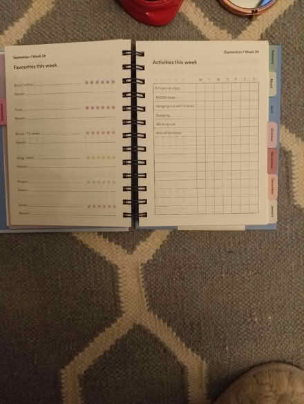Photo of free Study planner, mirror, tiny bag (Richmond upon Thames TW10) #2