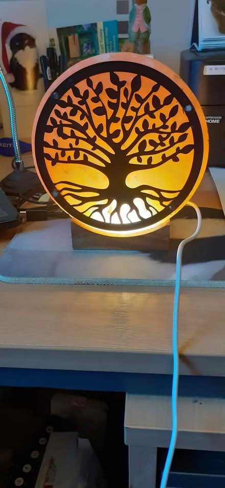 Photo of free Tree of Life Rock Salt lamp, USB (Livingston EH54) #1