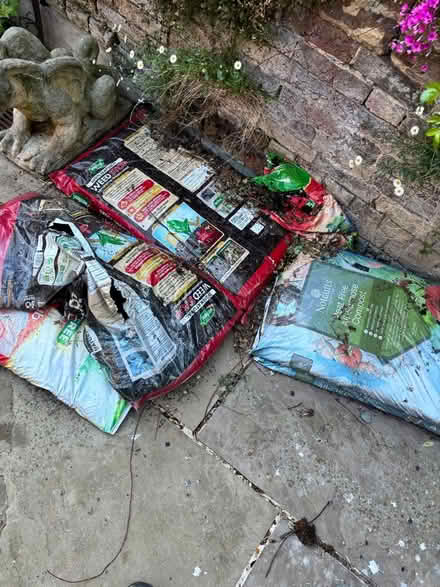 Photo of free Lots of compost (Central Tonbridge TN9) #1