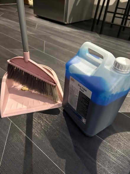 Photo of free Blue Toilet fluid and pink brush (BD1) #1