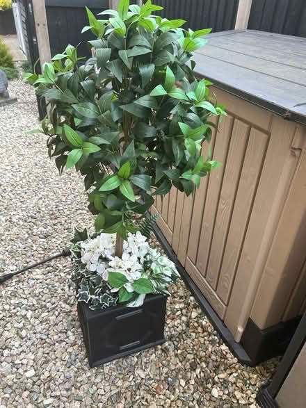 Photo of free Artificial outdoor planter (Catshill Bromsgrove B61) #1