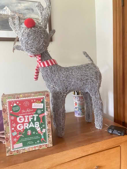 Photo of free Christmas stuff (Fishcross FK10) #2