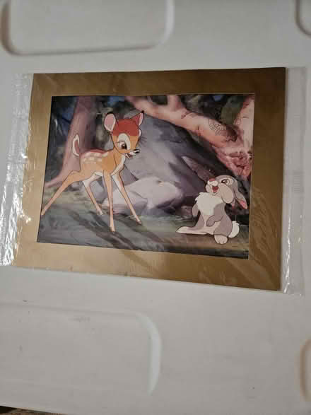 Photo of free Image of Bambi (Cleveland Park) #1