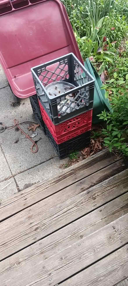 Photo of free milk crates (melrose) #1
