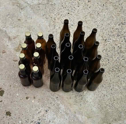 Photo of free Homebrew bottles (Chaddesden Wood DE21) #1