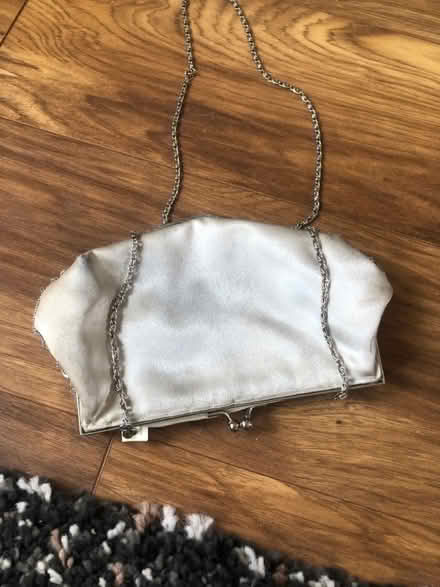 Photo of free Sparkly bag accessorize (Richmond TW1) #1