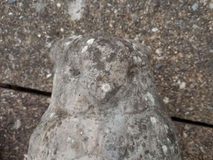 Photo of free Owl Statue (Broken in Half) (Beaconsfield HP9) #1