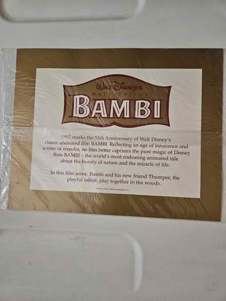 Photo of free Image of Bambi (Cleveland Park) #2