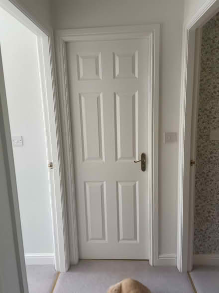 Photo of free Panel white doors. Various sizes (Audlem CW3) #1