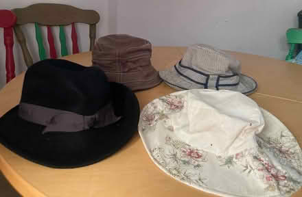 Photo of free Ladies hats (B71 West Bromwich) #1