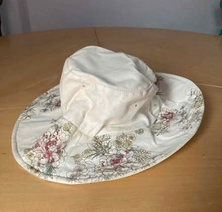 Photo of free Ladies hats (B71 West Bromwich) #3