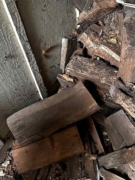 Photo of free Firewood (Pacheco Valle (S. Novato)) #2