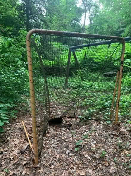 Photo of free Lacrosse Goal (Cleveland Park) #2