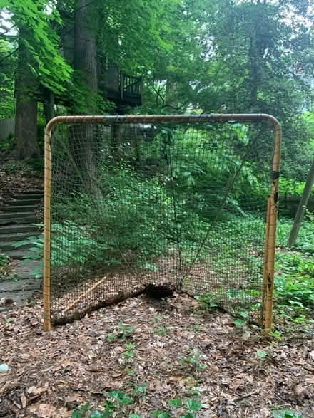 Photo of free Lacrosse Goal (Cleveland Park) #1