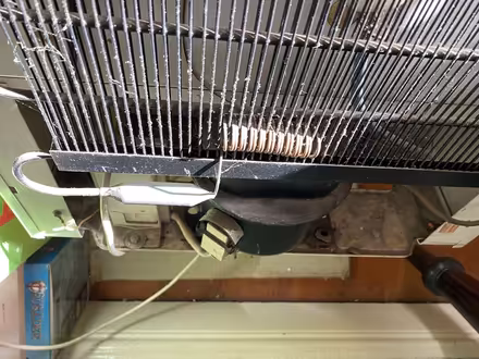 Photo of free Small refrigerator, bar fridge (Inner West) #3