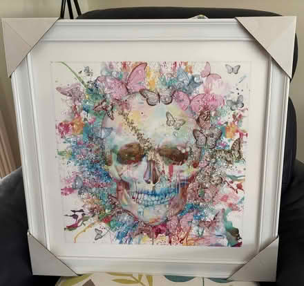 Photo of free Framed skull picture (Abbots Langley WD5) #1