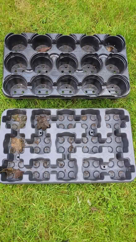 Photo of free Two plant trays with holes (WA14 Altrincham) #1