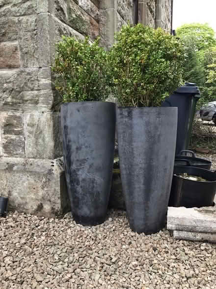 Photo of free Two planters (G61) #1