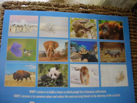Photo of free 2025 WWF wall calendar (Swarthmore area) #2