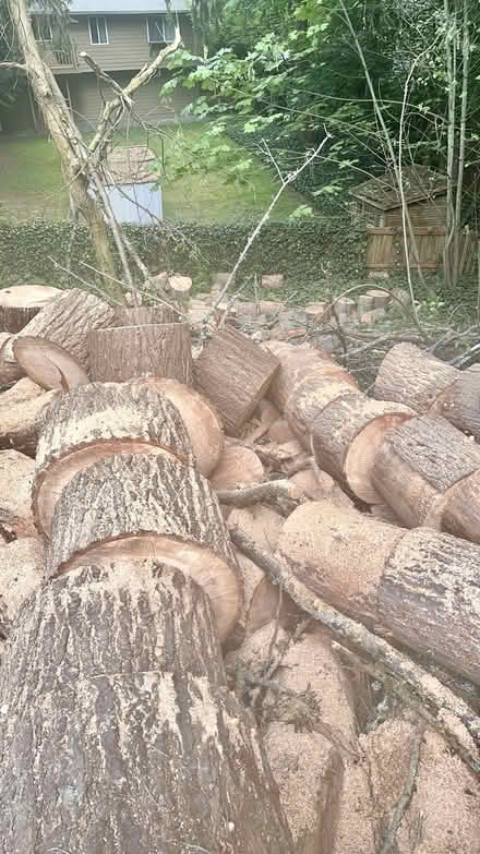 Photo of free Freshly Chopped Woods (Kirkland) #3