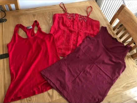 Photo of free Vest tops x 3 (Cheshunt En8) #1