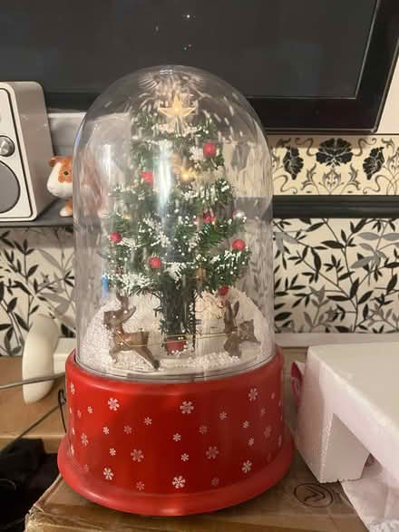 Photo of free Snow dome (Long ditton) #2