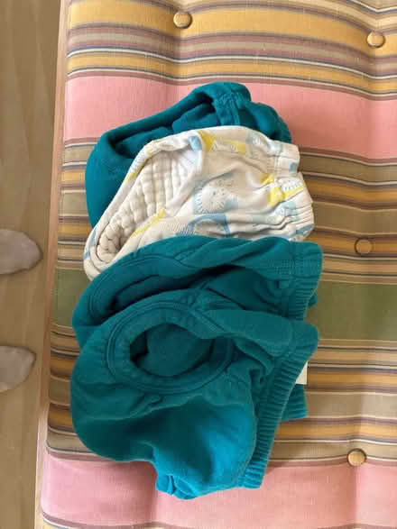 Photo of free Potty Training Pants (South Kensington W8) #1