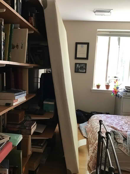 Photo of free Queen size bunkie board (Warminster) #1