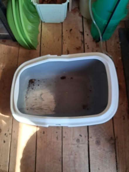 Photo of free Large litter tray (Glenrothes KY7) #1
