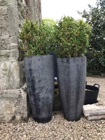 Photo of free Two planters (G61) #2
