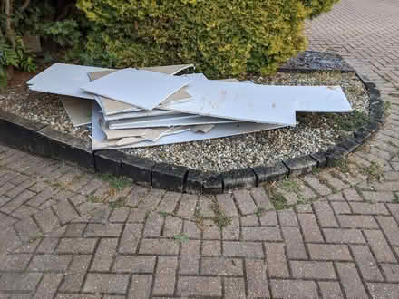 Photo of free Plasterboard offcuts (Colchester CO4) #1