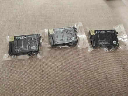 Photo of free Epson 252 toner cartridges (Midtown/Boulevard Park) #2