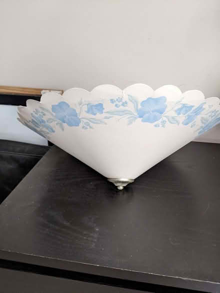 Photo of free Retro lampshade (Woking GU22) #2