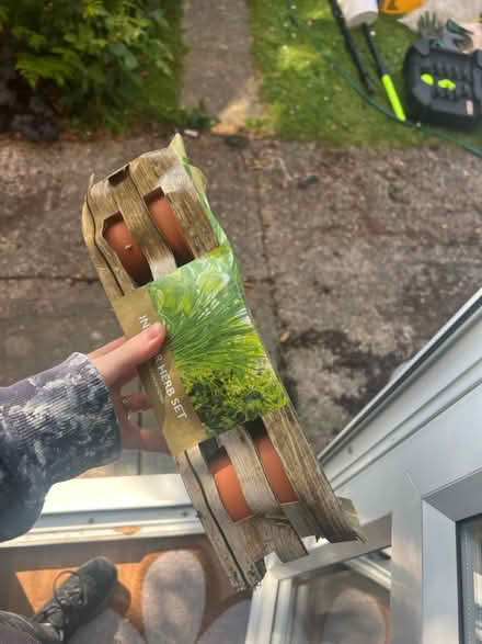 Photo of free Grow your own herbs kit (Stanway, CO3) #2