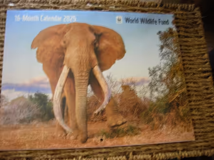 Photo of free 2025 WWF wall calendar (Swarthmore area) #1