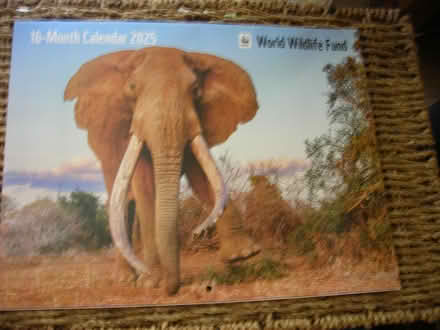 Photo of free 2025 WWF wall calendar (Swarthmore area) #1