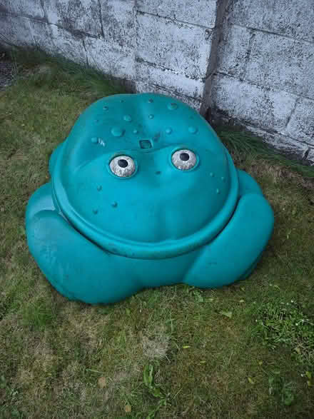 Photo of free Frog sandpit (Clonsilla Dublin 15) #1