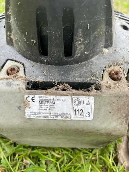 Photo of free Petrol Strimmer (Braithwaite Village) #3