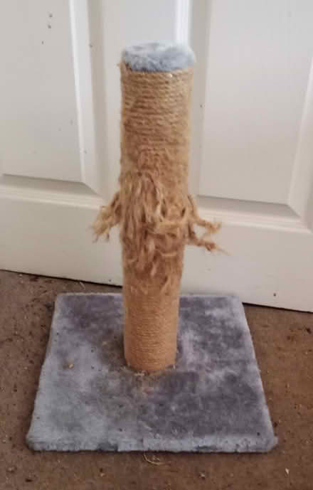 Photo of free Cat Tower & Scratching Post (Edgware HA8 9JN) #4